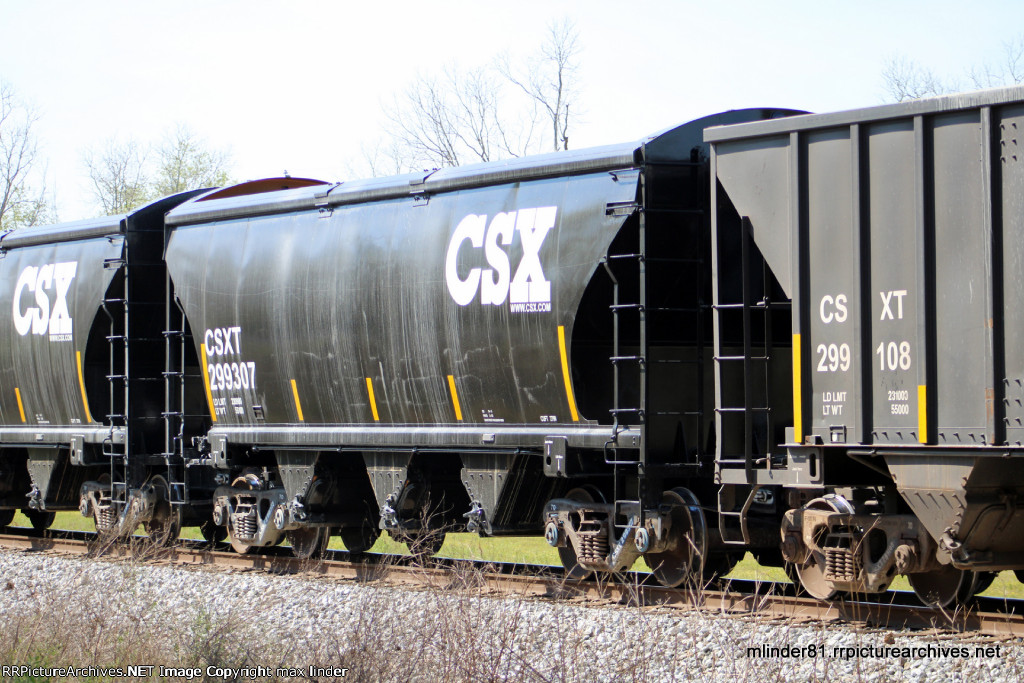 CSX 299307